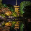 京都東寺　瓢箪池と紅葉と五重の塔と...