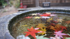 水面紅葉