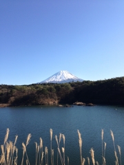 精進湖→富士山