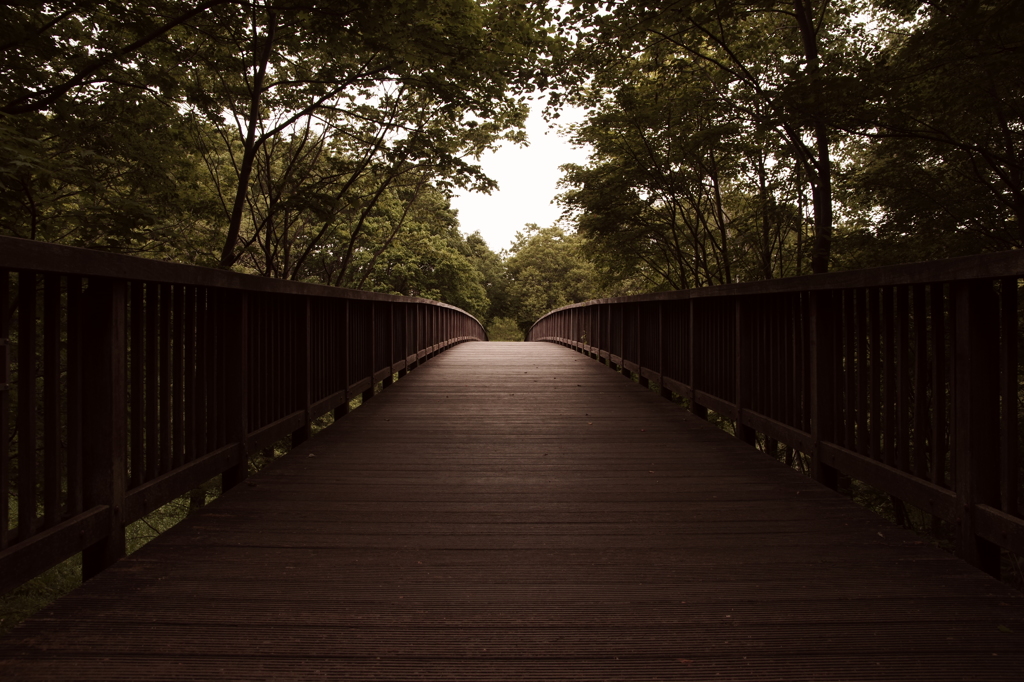 梅の香橋