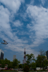 昼下がりの大通り公園