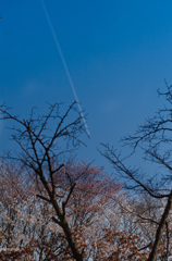 領空侵犯