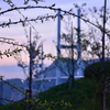 女神大橋