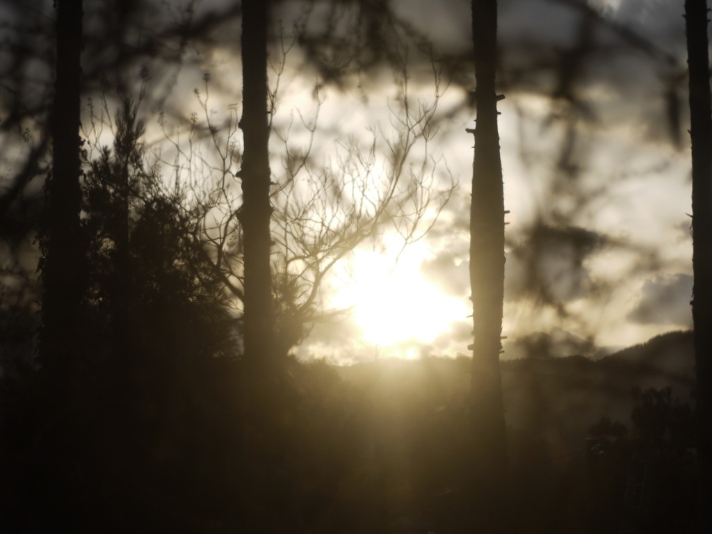夕陽