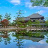 奈良・東大寺～大仏殿～