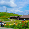 びわこ箱館山ゆり園～small hill～