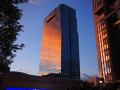 神戸夜景2