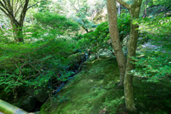 順路小川