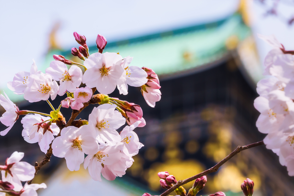 ～大阪城西の丸庭園～2019