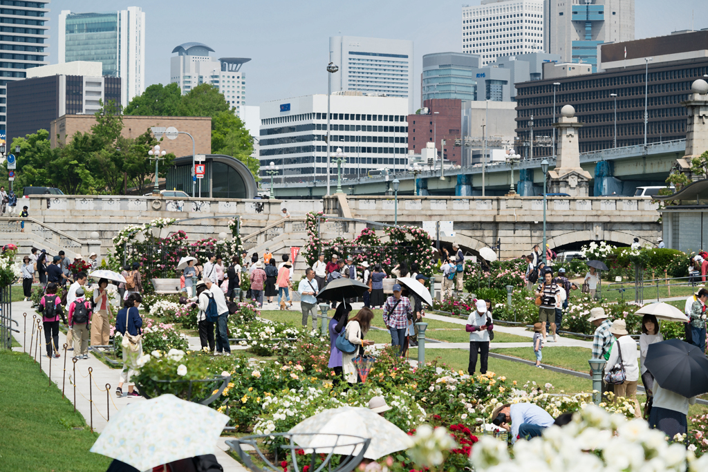 中之島公園バラ園