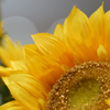 ～test shot～SONY70-200f4GII