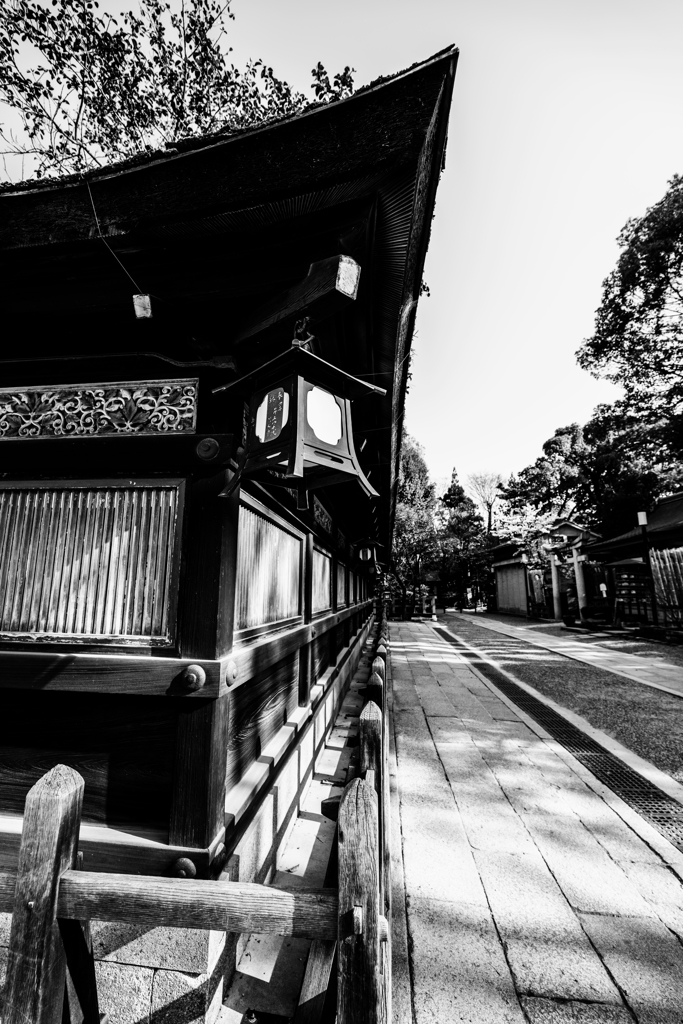 ～京都 桜　八坂神社～