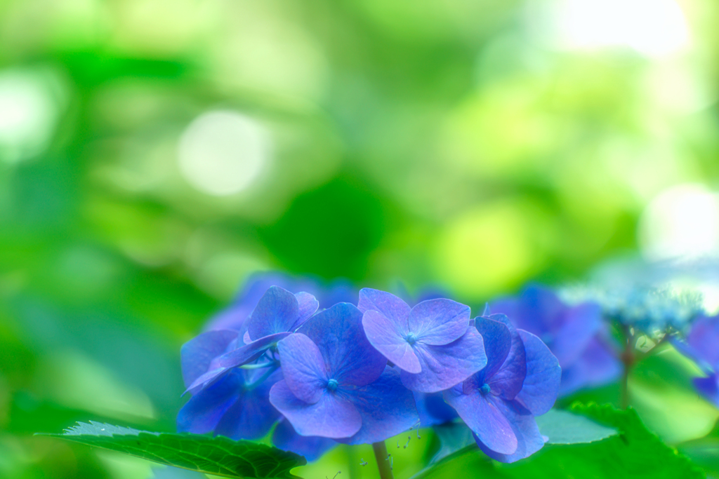 ～大阪・長居植物園～2023