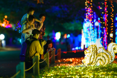 ～万博記念公園～イルミナイト万博－夕涼み－2018