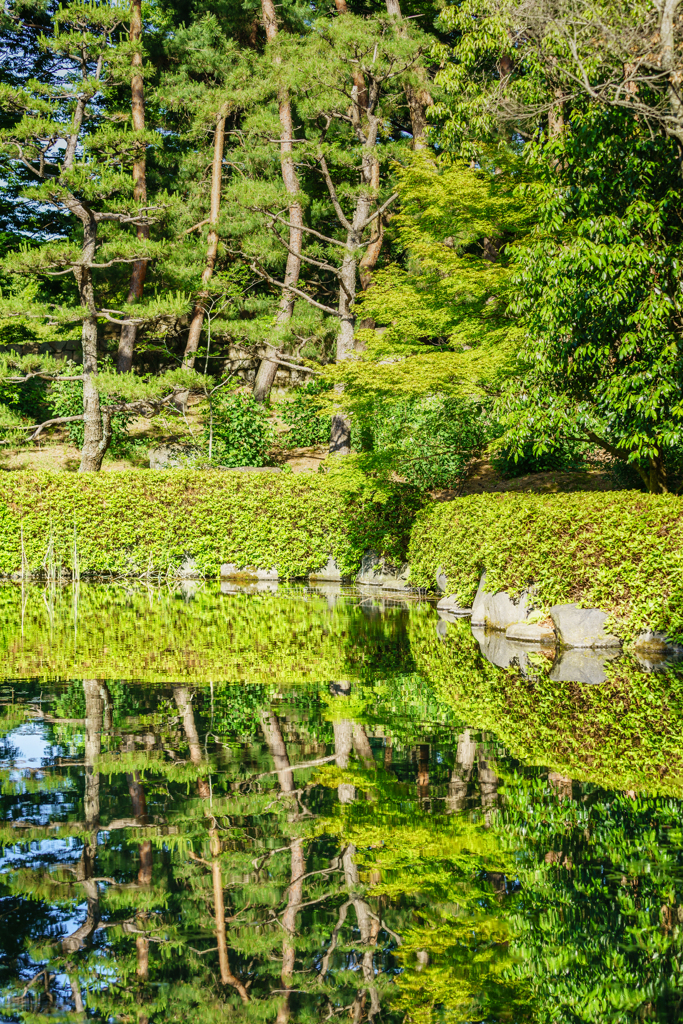 ～万博記念公園～自然文化園 池