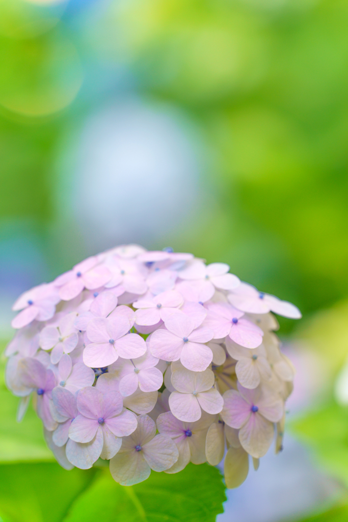 ～大阪・長居植物園～2023