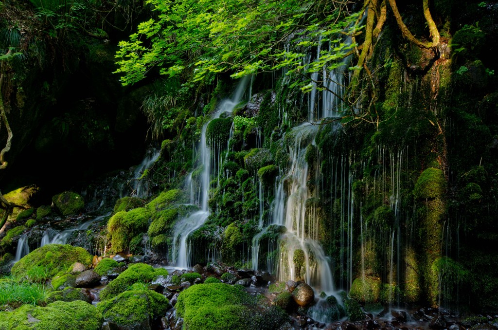 元滝伏流水