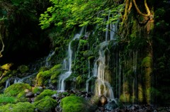 元滝伏流水