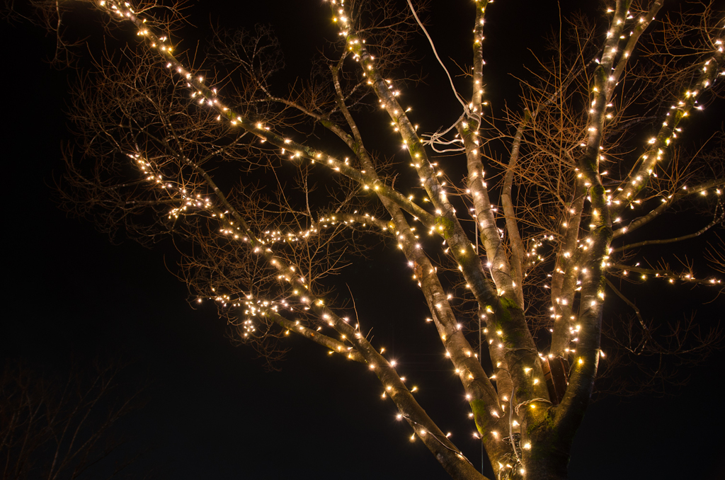illumination #1