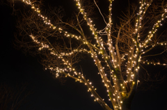 illumination #1