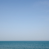 海
