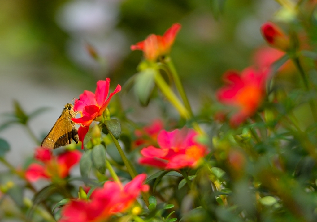 たくさんの中で私に・・・