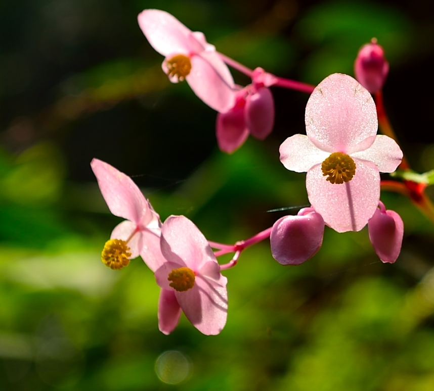 限られた光を浴びて