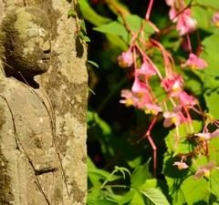 石仏に何を願う・・・