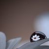 水滴に香る春