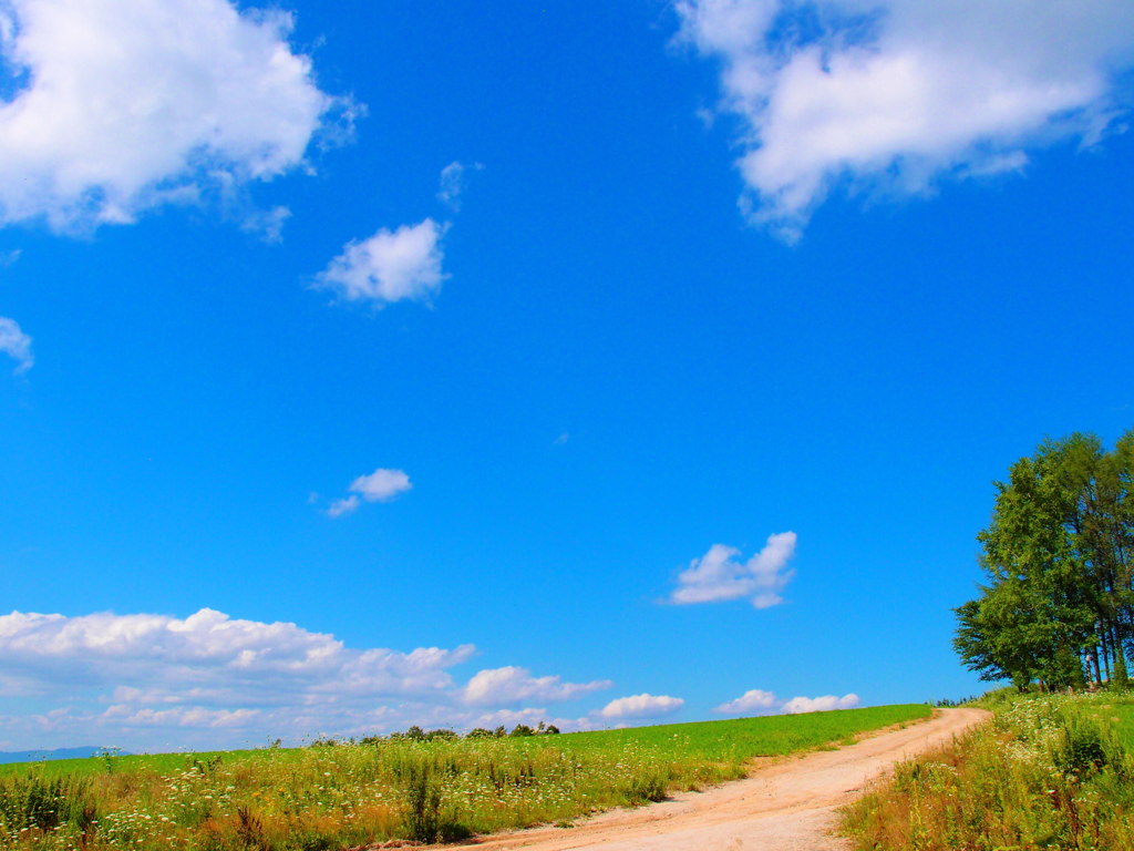 青、夏の日。 by jiyuuuuuun （ID：2074374） - 写真共有サイト:PHOTOHITO