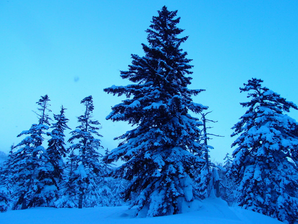雪のある風景3