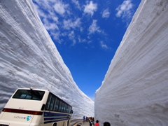 雪の大谷