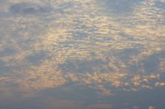 DSC00366