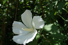 DSC00286