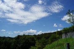 DSC00278