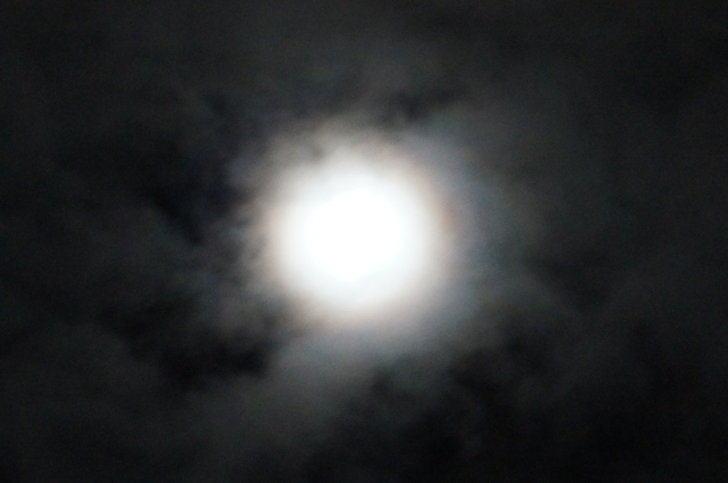 DSC00400