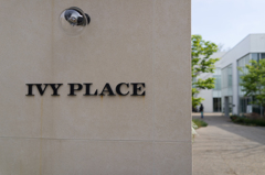 IVY PLACE