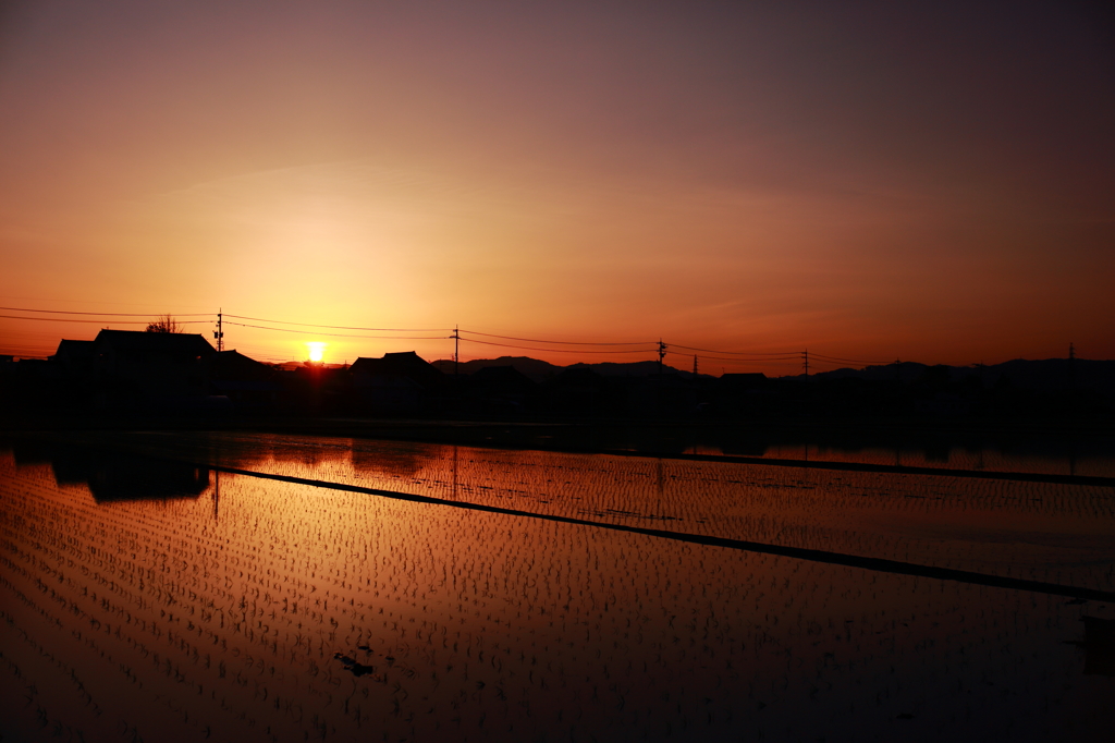 夕景