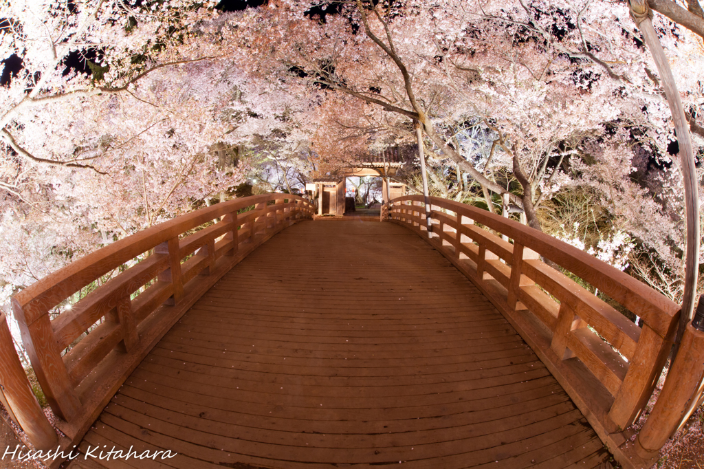 桜雲橋