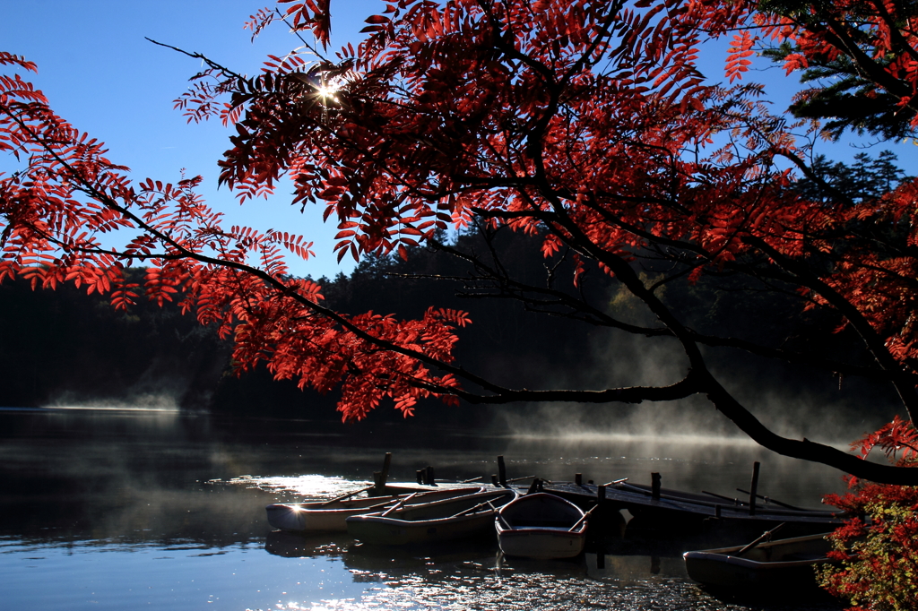 白駒池と紅葉