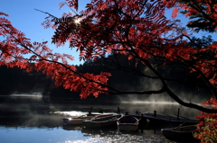 白駒池と紅葉