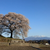 わに塚の桜と八ヶ岳　春ver~