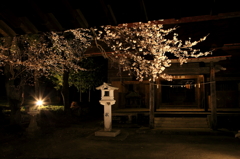 広神社　ライトアップ