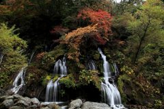 秋の吐竜の滝
