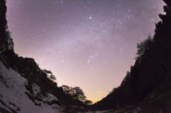しだれ栗と天の川