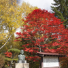 銅像と紅葉