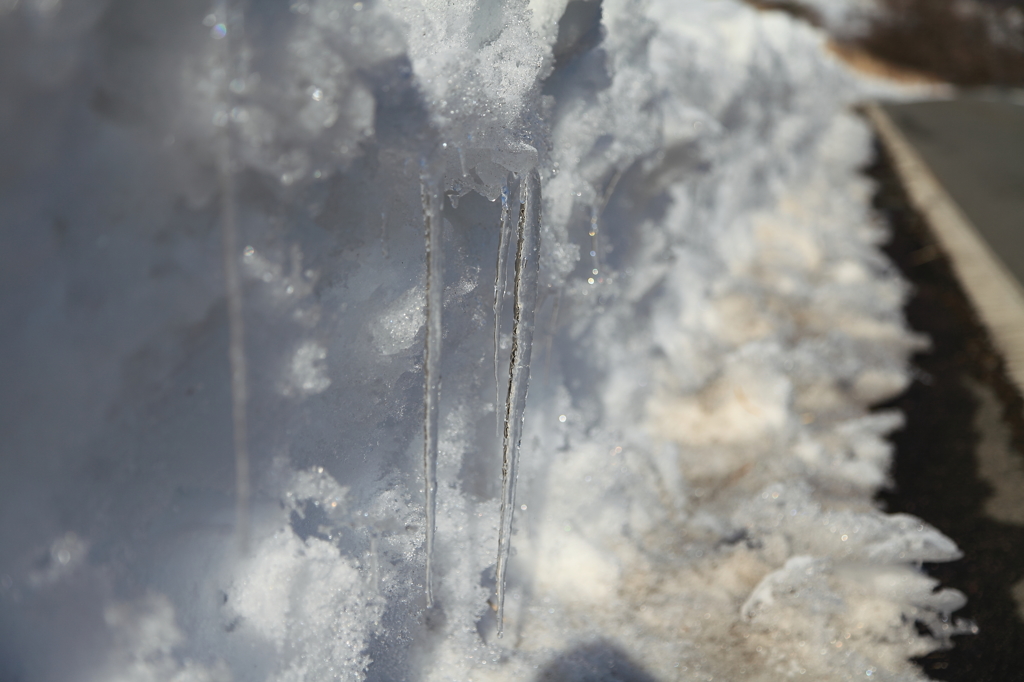 雪溶けで出来たつらら