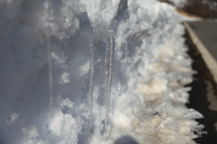 雪溶けで出来たつらら