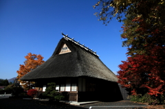 不動茶屋と紅葉