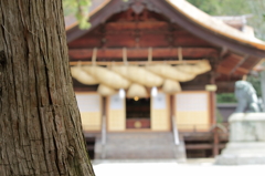 諏訪大社下社秋宮　神楽殿